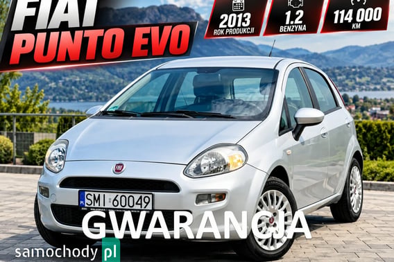 Fiat Punto Hatchback 2013