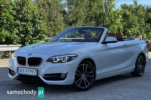 BMW Seria 2 Kabriolet 2020