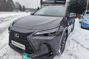 Lexus NX SUV 2023