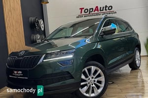Skoda Karoq SUV 2019
