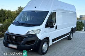 Fiat Ducato Inny 2019