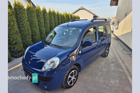 Renault Kangoo Minivan 2009