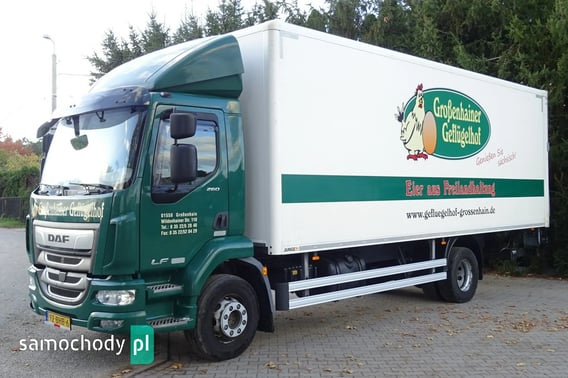 DAF LF 260 Euro 6 kontener 18 palet windaklima TYLKO 335000km Ciężarowe 2018