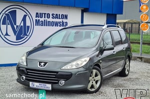 Peugeot 307 Kombi 2007