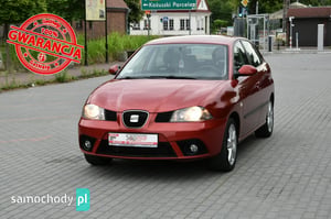 SEAT Ibiza Hatchback 2007