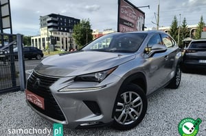 Lexus NX SUV 2020
