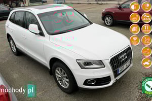 Audi Q5 SUV 2013