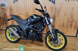 MAGNI Inny Inny 2022