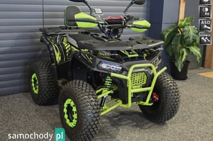 TRIUMPH Inny Quad 2025
