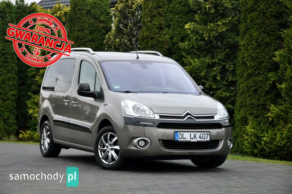 Citroen Berlingo Minivan 2013