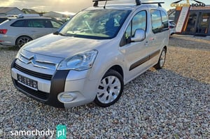 Citroën Berlingo Minivan 2010