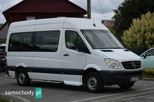 Mercedes-Benz Sprinter Bus 2010