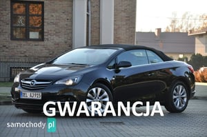 Opel Cascada Kabriolet 2013