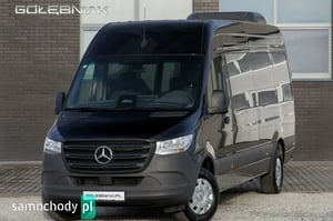 Mercedes-Benz Sprinter Autobusy 2024