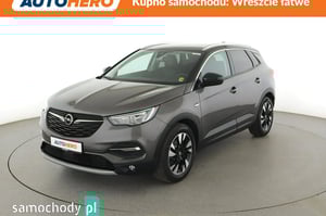 Opel Grandland X SUV 2019