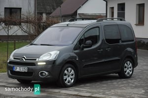 Citroen Berlingo Minivan 2013