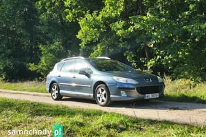 Peugeot 407 Kombi 2004