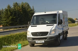 Mercedes-Benz Sprinter Chłodnia/Izoterma 2007