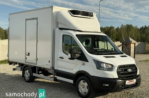 Ford Transit Chłodnia/Izoterma 2025