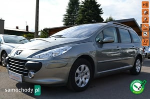 Peugeot 307 Kombi 2007