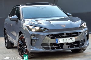 Cupra Terramar SUV 2024