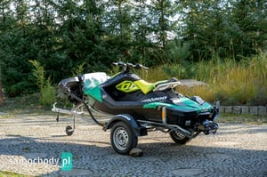 SEAT Terra 2021