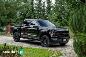 Ford F-Series Pickup 2022