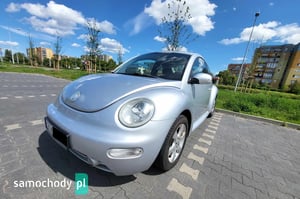 Volkswagen New Beetle Crossover 2004