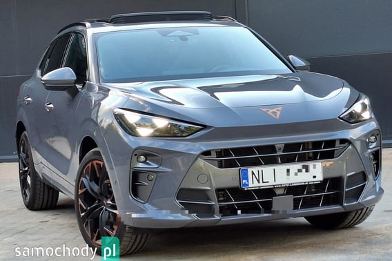 Cupra Terramar SUV 2024