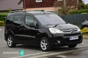 Citroen Berlingo Minivan 2009