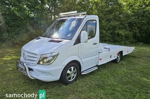 Mercedes-Benz Sprinter Inne 2017