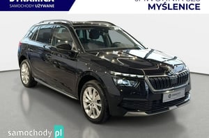 Skoda Kamiq SUV 2022