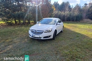 Opel Insignia Hatchback 2013