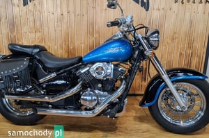 Kawasaki Vulcan Cruiser 1996
