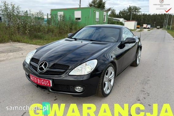 Mercedes-Benz SLK Kabriolet 2010