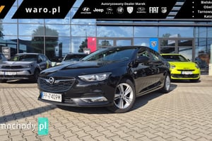 Opel Insignia Sedan / Limuzyna 2019