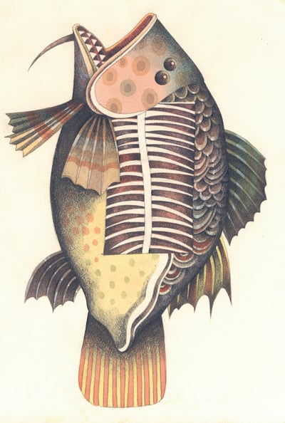 Surrealist Composite Fish Illustration
