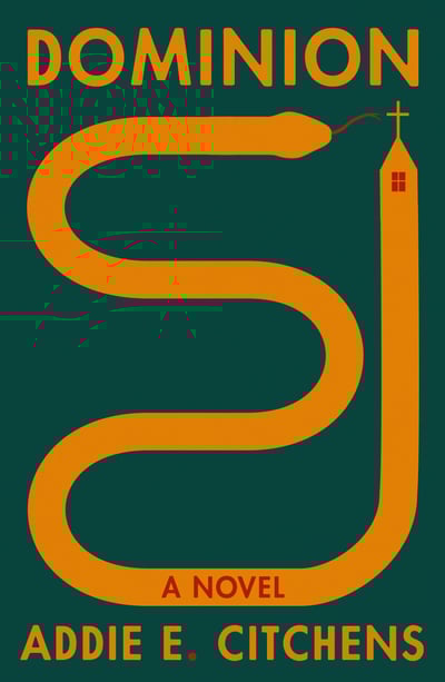 Dominion Book Cover Art