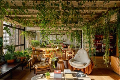 Biophilic Urban Jungle Living Space