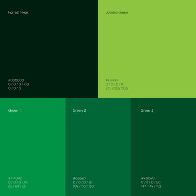 Forest Floor to Sunrise Green Color Palette