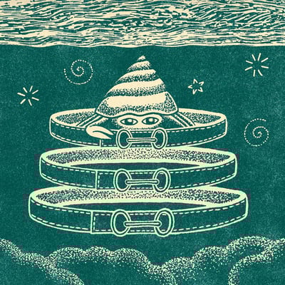 The Hermit Crab's Belted Shell Illustration