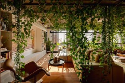 Sunlit Biophilic Living Room with Hanging Vines