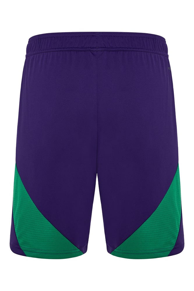 Women's Panathinaikos FC 2024/25 Third Shorts