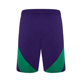 Women's Panathinaikos FC 2024/25 Third Shorts