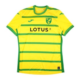 Damen Norwich City 2023/24 Heimtrikot