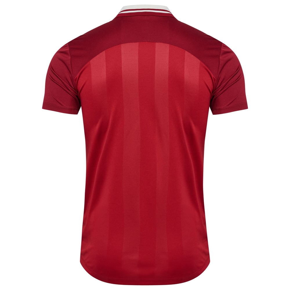 Herren Dänemark 2025 Frauen Mannschaft Heimtrikot