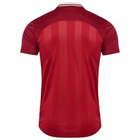 Herren Dänemark 2025 Frauen Mannschaft Heimtrikot