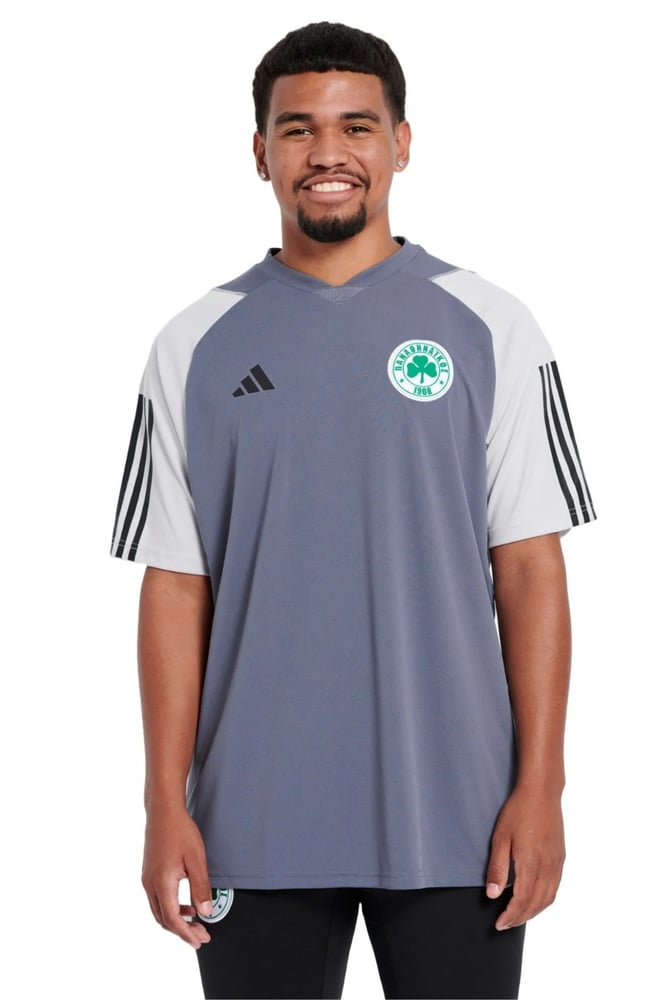 Women's Panathinaikos FC 2023/24 Third Authentic Training Shirt - Grey