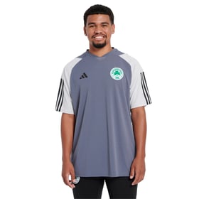 Women's Panathinaikos FC 2023/24 Third Authentic Training Shirt - Grey