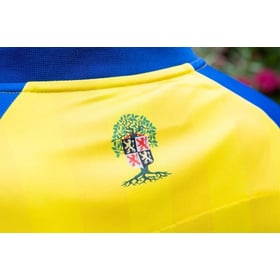 Herren RKC Waalwijk 2025/26 Heimtrikot